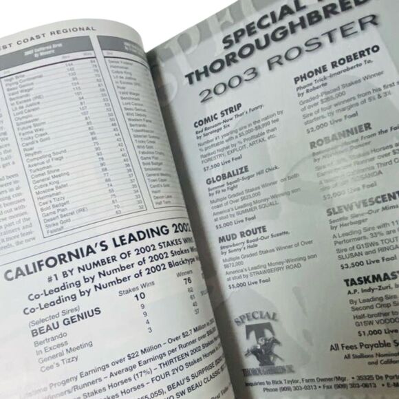 The Blood-Horse Magazine Lot 1995-2003 Thoroughbred Horse Racing Back Issues - Picture 3 of 13